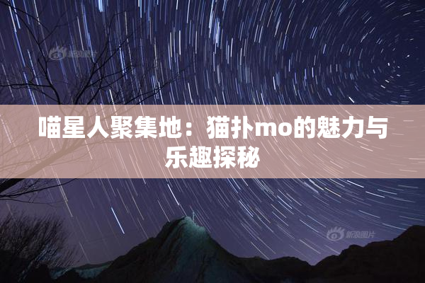 喵星人聚集地：猫扑mo的魅力与乐趣探秘