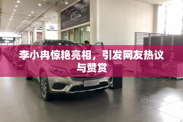 李小冉惊艳亮相，引发网友热议与赞赏