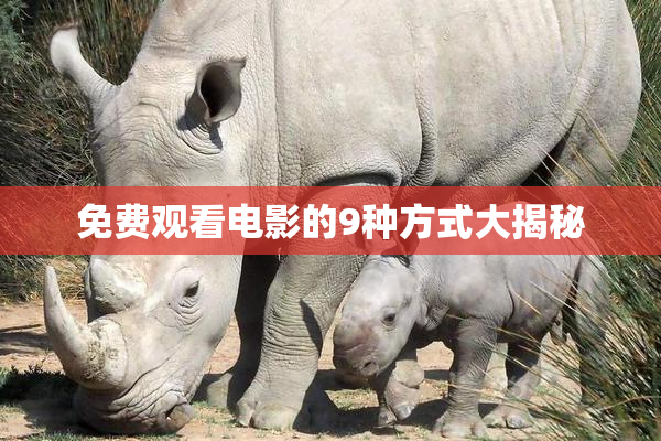 免费观看电影的9种方式大揭秘