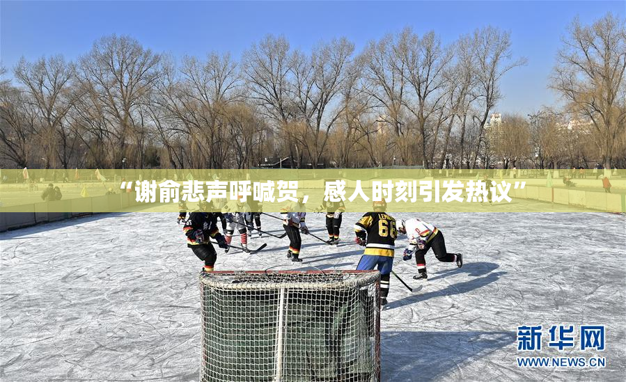 “谢俞悲声呼喊贺，感人时刻引发热议”