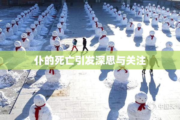 仆的死亡引发深思与关注