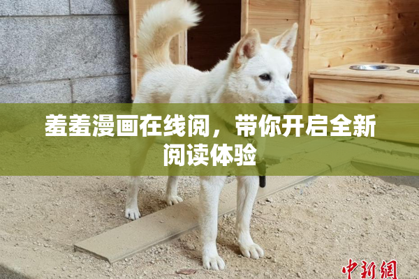 羞羞漫画在线阅，带你开启全新阅读体验