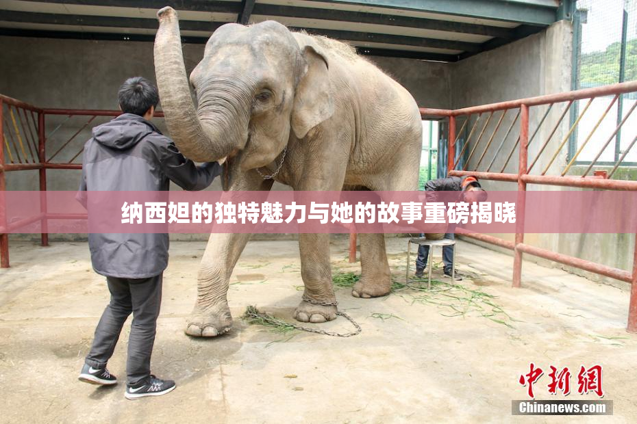 纳西妲的独特魅力与她的故事重磅揭晓