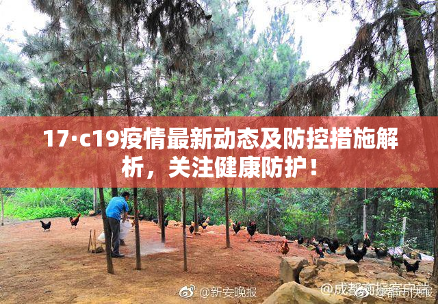 17·c19疫情最新动态及防控措施解析，关注健康防护！