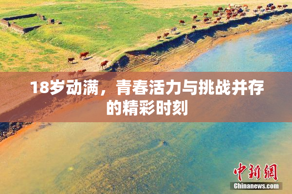 18岁动满，青春活力与挑战并存的精彩时刻