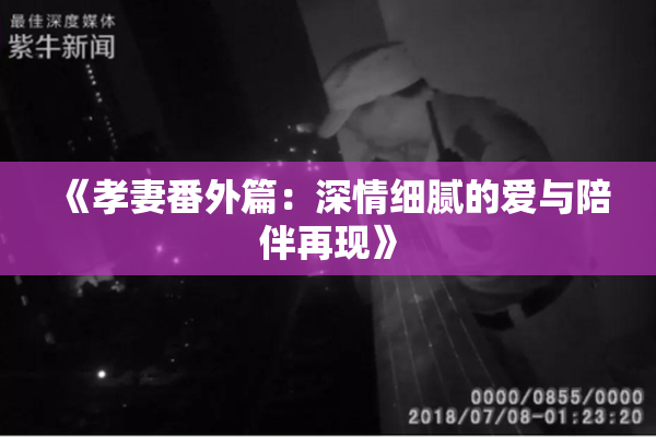 《孝妻番外篇：深情细腻的爱与陪伴再现》