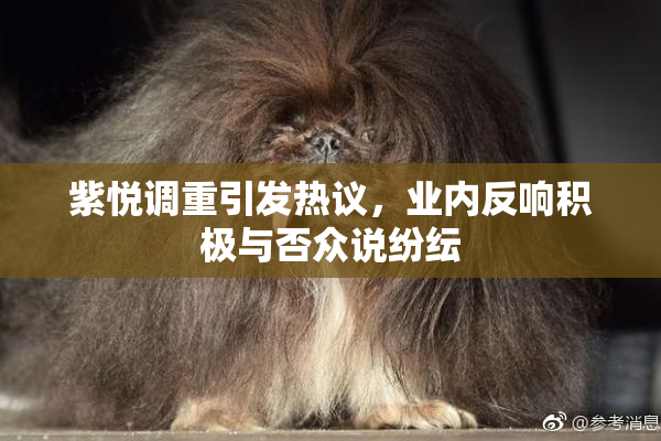 紫悦调重引发热议，业内反响积极与否众说纷纭