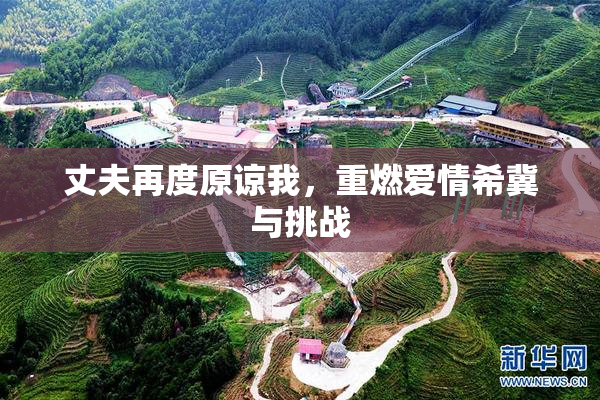 丈夫再度原谅我，重燃爱情希冀与挑战