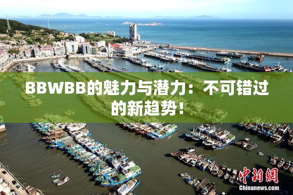 BBWBB的魅力与潜力：不可错过的新趋势！