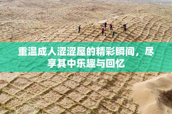 重温成人涩涩屋的精彩瞬间，尽享其中乐趣与回忆