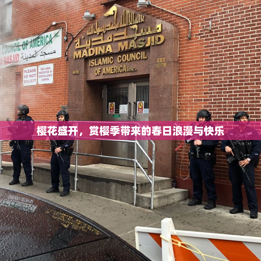 樱花盛开，赏樱季带来的春日浪漫与快乐