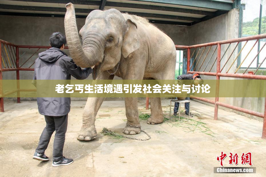 老乞丐生活境遇引发社会关注与讨论