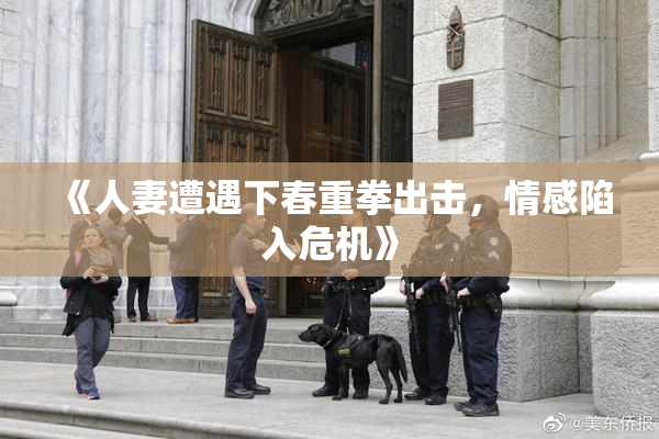 《人妻遭遇下春重拳出击，情感陷入危机》