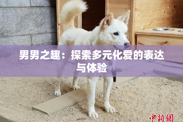 男男之趣：探索多元化爱的表达与体验