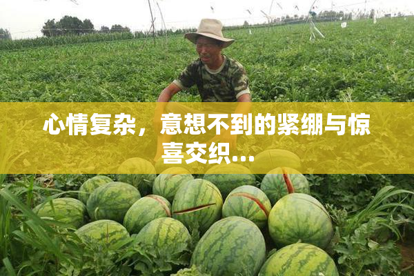 心情复杂，意想不到的紧绷与惊喜交织…