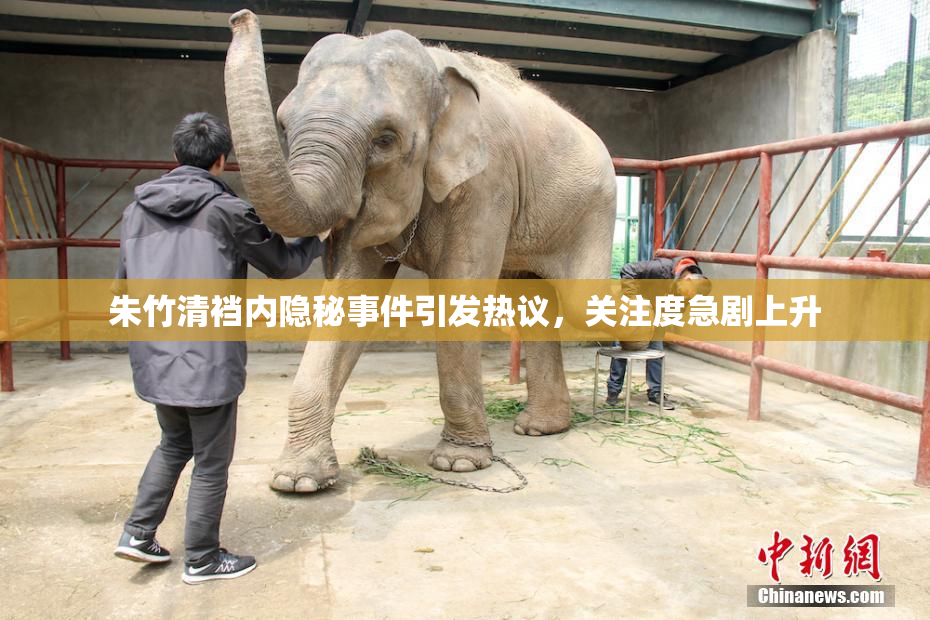 朱竹清裆内隐秘事件引发热议，关注度急剧上升