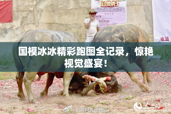 国模冰冰精彩跑图全记录，惊艳视觉盛宴！
