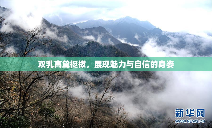 双乳高耸挺拔，展现魅力与自信的身姿