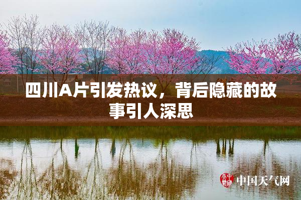 四川A片引发热议，背后隐藏的故事引人深思