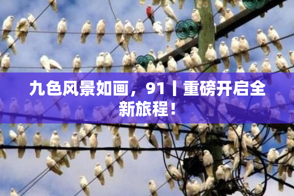 九色风景如画，91丨重磅开启全新旅程！
