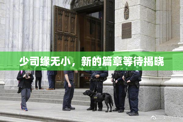 少司缘无小，新的篇章等待揭晓