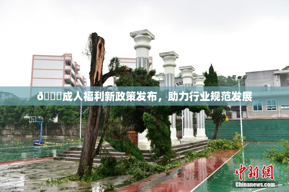 🔞成人福利新政策发布，助力行业规范发展