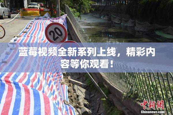 蓝莓视频全新系列上线，精彩内容等你观看！