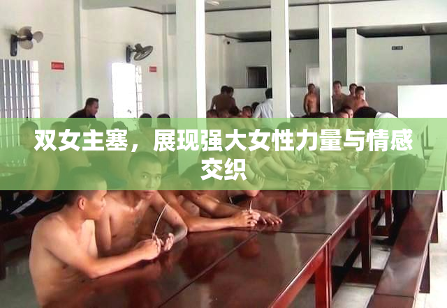 双女主塞，展现强大女性力量与情感交织