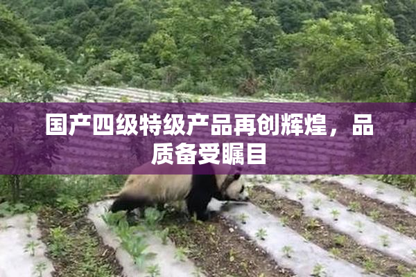 国产四级特级产品再创辉煌，品质备受瞩目
