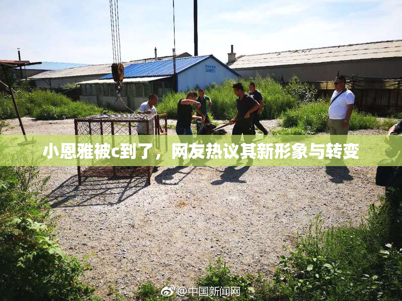 小恩雅被c到了，网友热议其新形象与转变