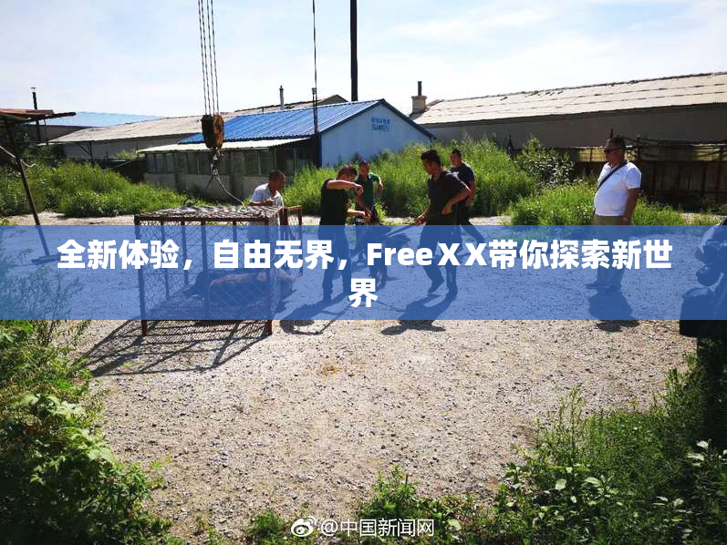 全新体验，自由无界，FreeⅩX带你探索新世界