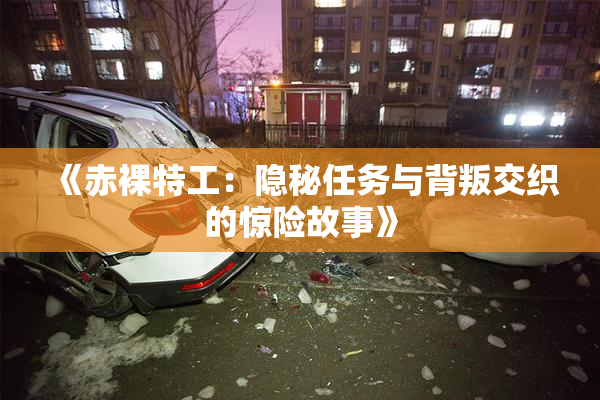 《赤裸特工：隐秘任务与背叛交织的惊险故事》