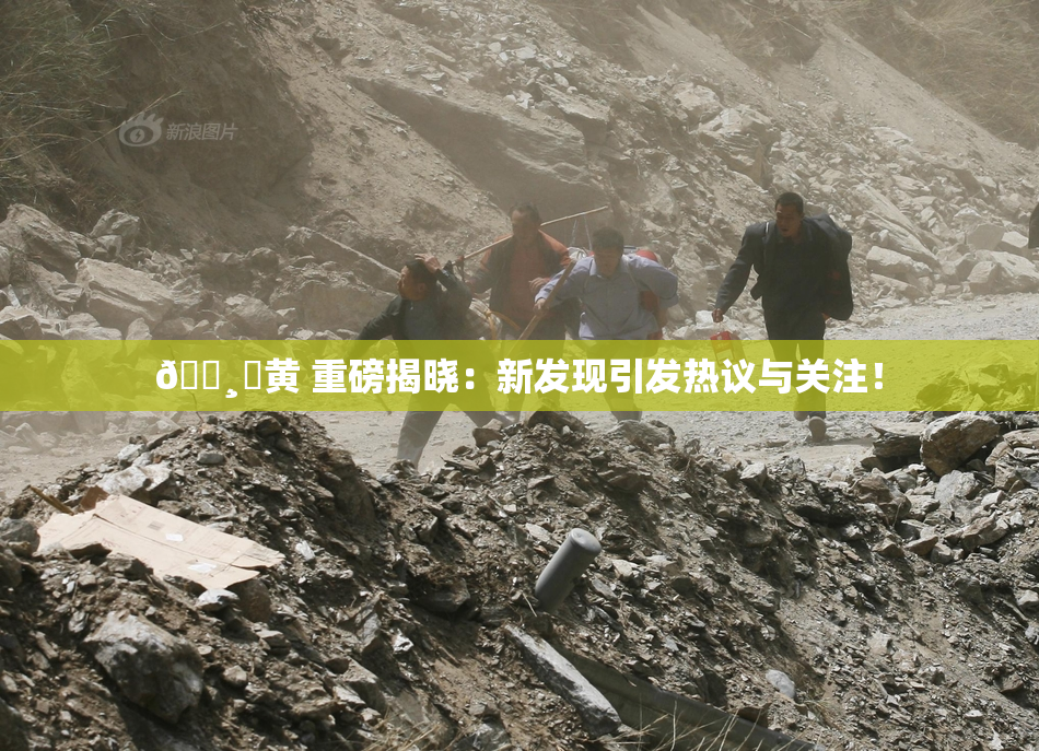 🌸‌黄 重磅揭晓：新发现引发热议与关注！