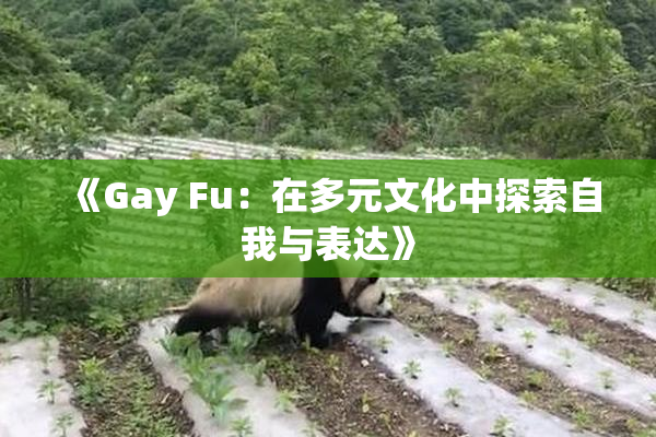 《Gay Fu：在多元文化中探索自我与表达》