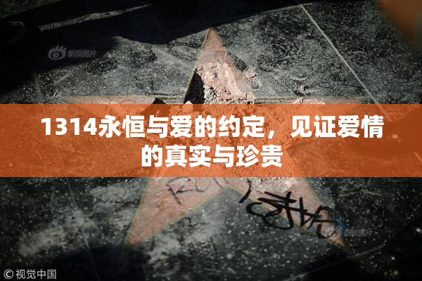 1314永恒与爱的约定，见证爱情的真实与珍贵