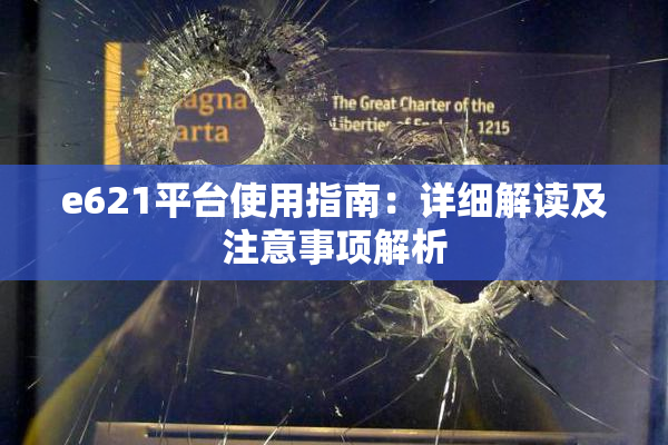 e621平台使用指南：详细解读及注意事项解析