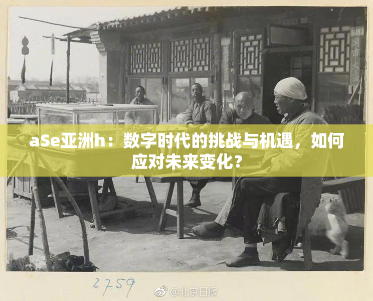 aSe亚洲h：数字时代的挑战与机遇，如何应对未来变化？