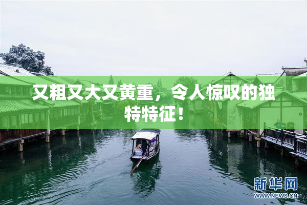又粗又大又黄重，令人惊叹的独特特征！