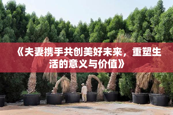 《夫妻携手共创美好未来，重塑生活的意义与价值》