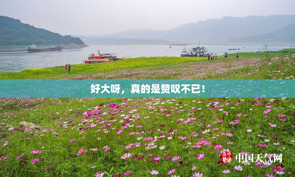 好大呀，真的是赞叹不已！