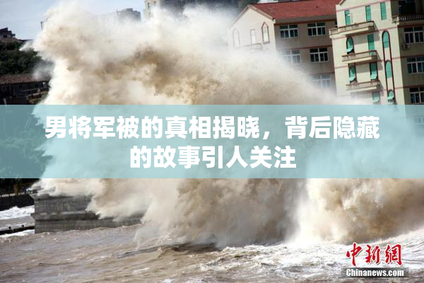 男将军被的真相揭晓，背后隐藏的故事引人关注