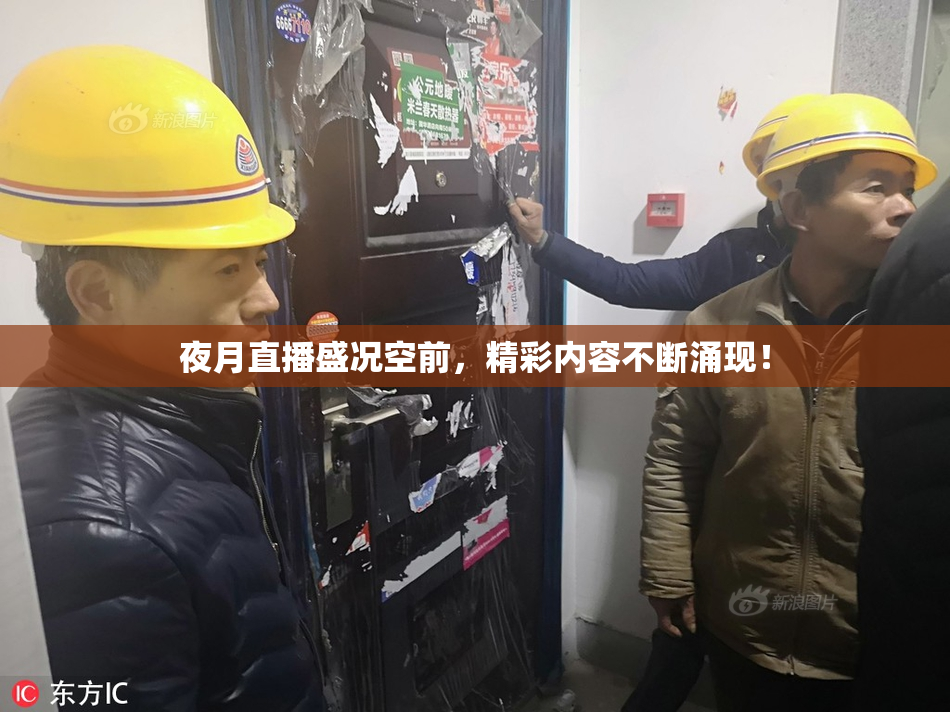 夜月直播盛况空前，精彩内容不断涌现！