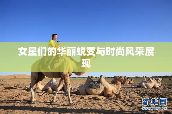 女星们的华丽蜕变与时尚风采展现