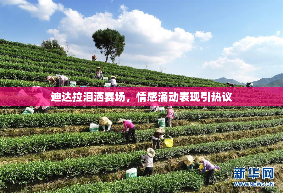 迪达拉泪洒赛场，情感涌动表现引热议