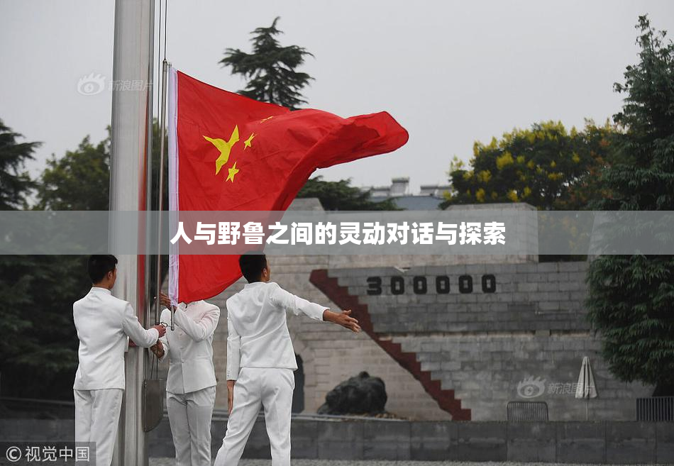 人与野鲁之间的灵动对话与探索