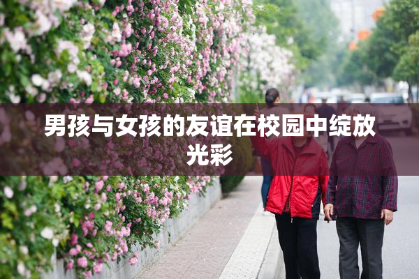 男孩与女孩的友谊在校园中绽放光彩