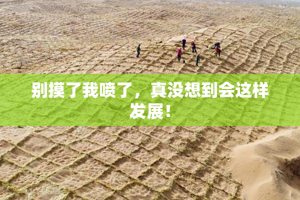 别摸了我喷了，真没想到会这样发展！