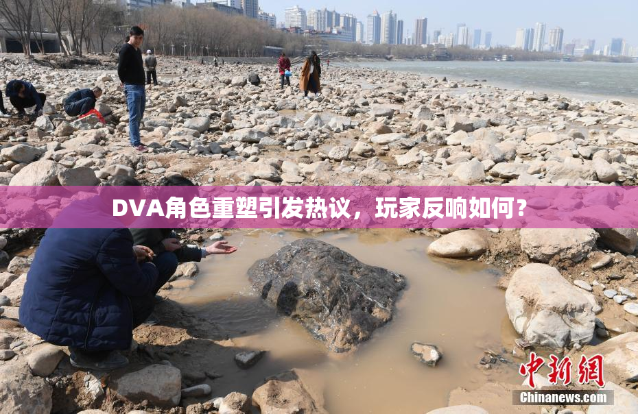 DVA角色重塑引发热议，玩家反响如何？