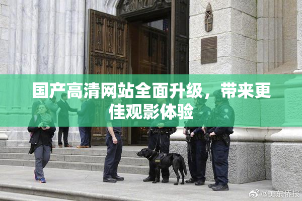 国产高清网站全面升级，带来更佳观影体验