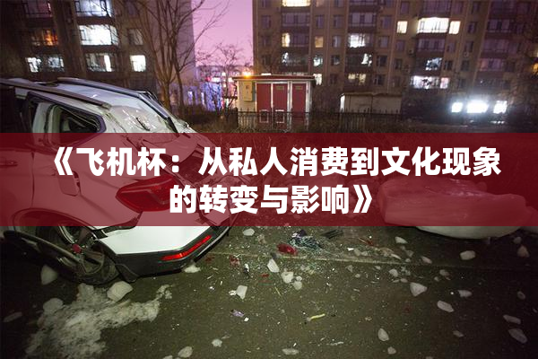 《飞机杯：从私人消费到文化现象的转变与影响》